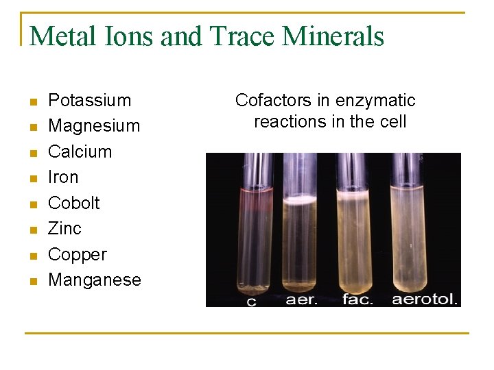 Metal Ions and Trace Minerals n n n n Potassium Magnesium Calcium Iron Cobolt
