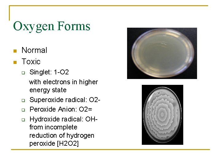 Oxygen Forms n n Normal Toxic q q Singlet: 1 -O 2 with electrons