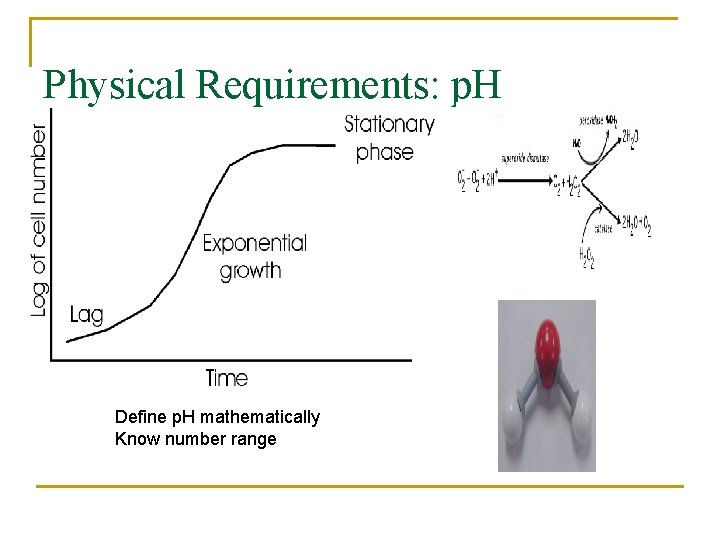 Physical Requirements: p. H Define p. H mathematically Know number range 