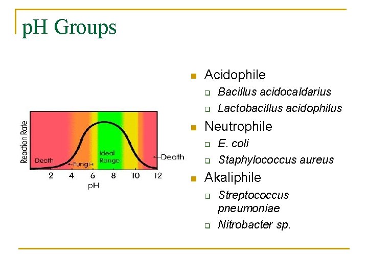p. H Groups n Acidophile q q n Neutrophile q q n Bacillus acidocaldarius
