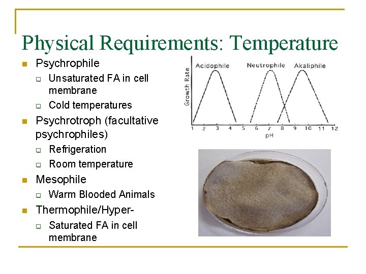 Physical Requirements: Temperature n Psychrophile q q n Psychrotroph (facultative psychrophiles) q q n