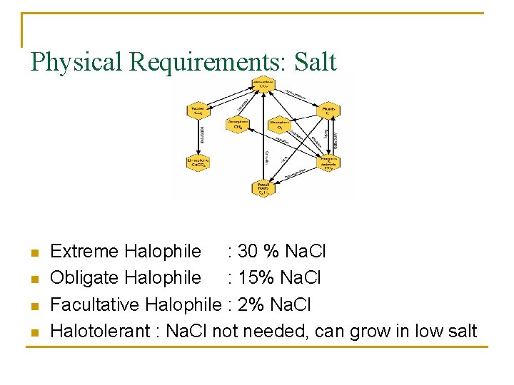 Physical Requirements: Salt n n Extreme Halophile : 30 % Na. Cl Obligate Halophile
