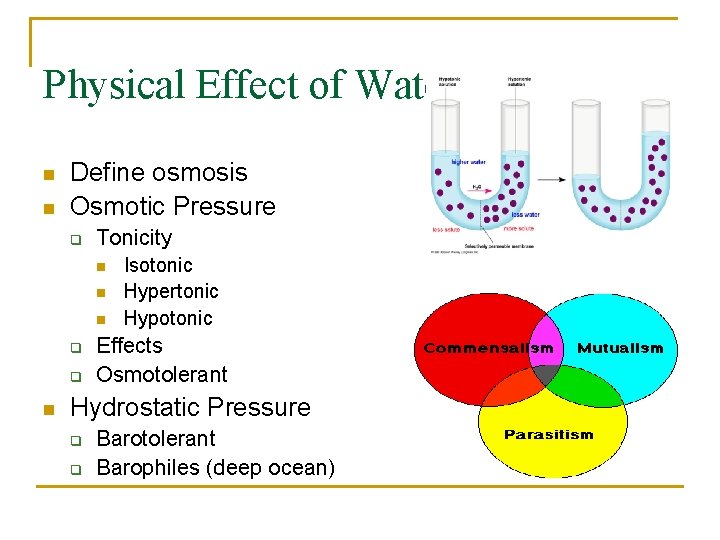 Physical Effect of Water n n Define osmosis Osmotic Pressure q Tonicity n n