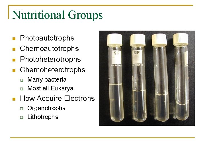 Nutritional Groups n n Photoautotrophs Chemoautotrophs Photoheterotrophs Chemoheterotrophs q q n Many bacteria Most