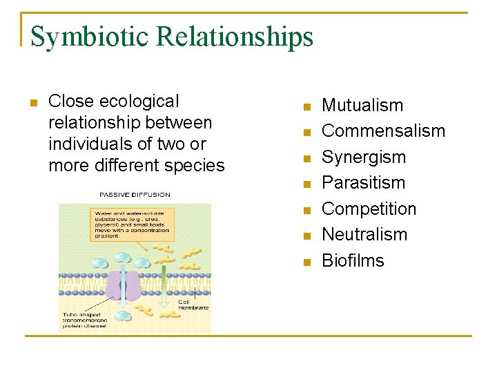 Symbiotic Relationships n Close ecological relationship between individuals of two or more different species