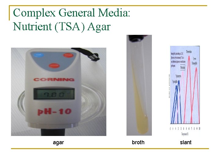 Complex General Media: Nutrient (TSA) Agar agar broth slant 