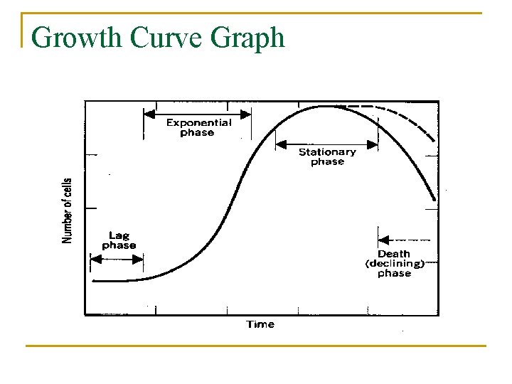 Growth Curve Graph 