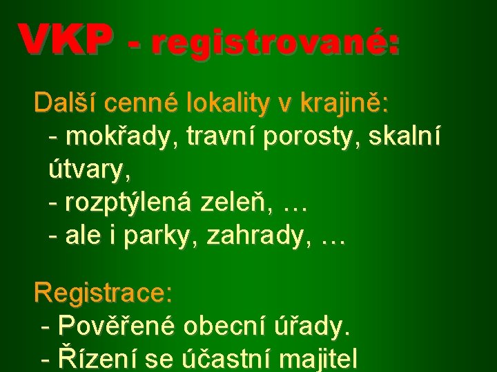 VKP - registrované: Další cenné lokality v krajině: - mokřady, travní porosty, skalní útvary,