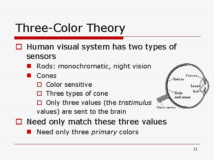 Three-Color Theory o Human visual system has two types of sensors n Rods: monochromatic,