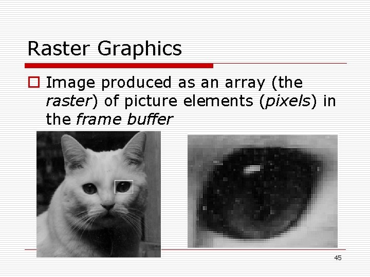 Raster Graphics o Image produced as an array (the raster) of picture elements (pixels)