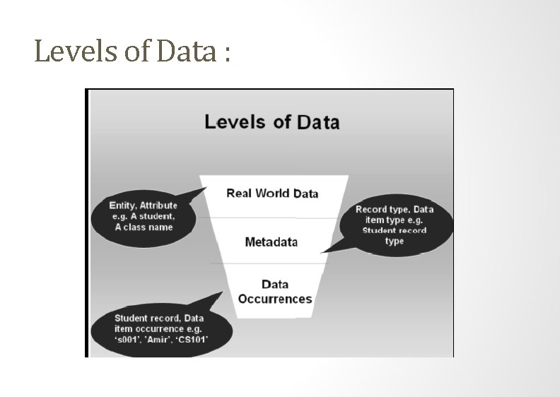Levels of Data : 