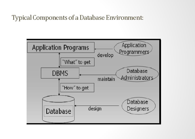 Typical Components of a Database Environment: 