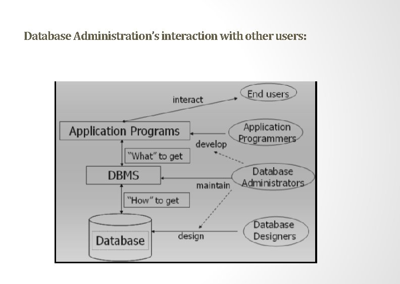 Database Administration’s interaction with other users: 