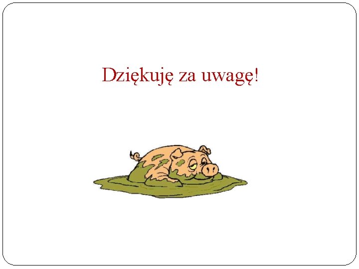 Dziękuję za uwagę! 