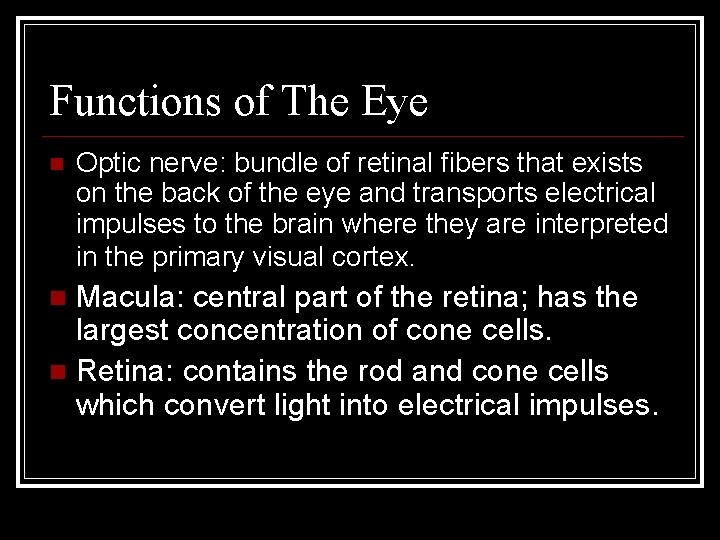 Functions of The Eye Optic nerve: bundle of retinal fibers that exists on the