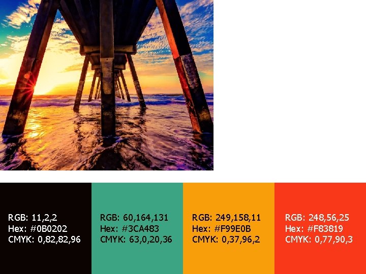 RGB: 11, 2, 2 Hex: #0 B 0202 CMYK: 0, 82, 96 RGB: 60,