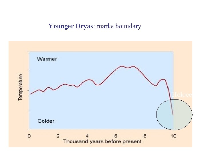 Younger Dryas: marks boundary Holocene 