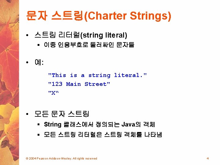 Character Strings Variables and Assignment Primitive Data Types