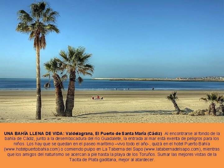 UNA BAHÍA LLENA DE VIDA: Valdelagrana, El Puerto de Santa María (Cádiz) Al encontrarse