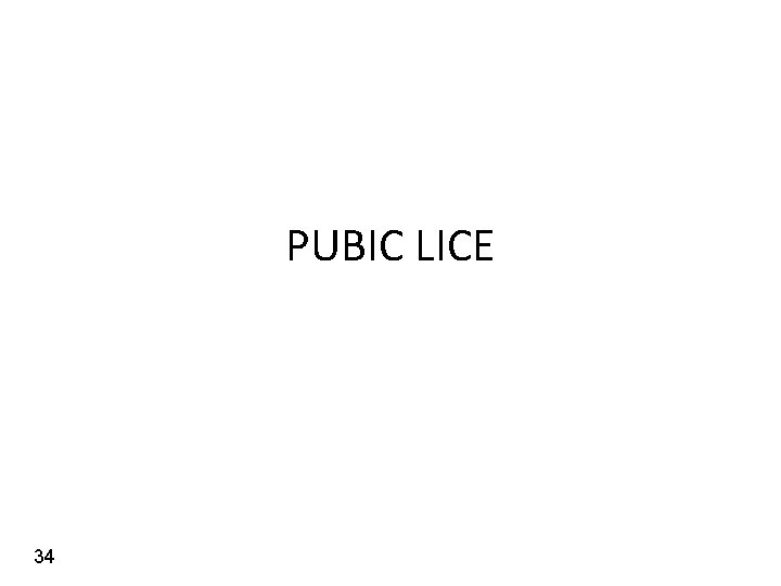 PUBIC LICE 34 