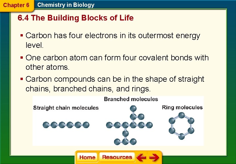 Chapter 6 Chemistry in Biology 6. 4 The Building Blocks of Life § Carbon