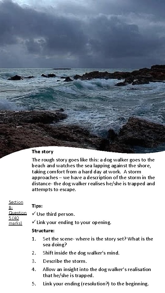 The story The rough story goes like this: a dog walker goes to the