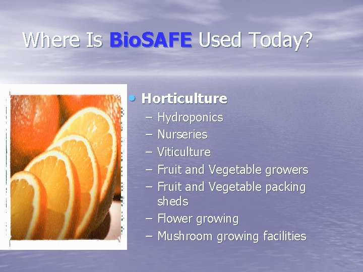 Where Is Bio. SAFE Used Today? • Horticulture – – – Hydroponics Nurseries Viticulture