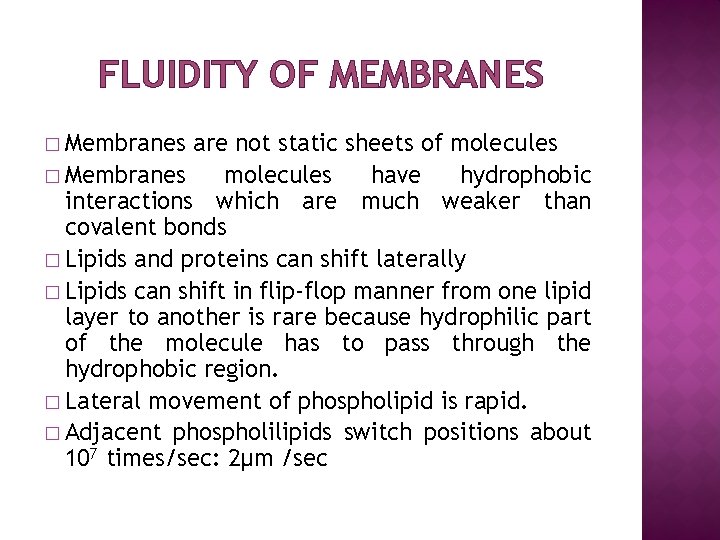 FLUIDITY OF MEMBRANES � Membranes are not static sheets of molecules � Membranes molecules