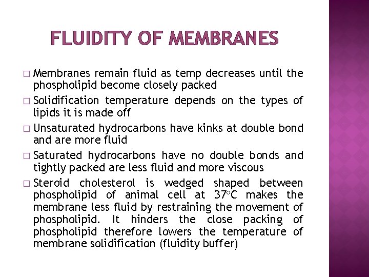 FLUIDITY OF MEMBRANES Membranes remain fluid as temp decreases until the phospholipid become closely