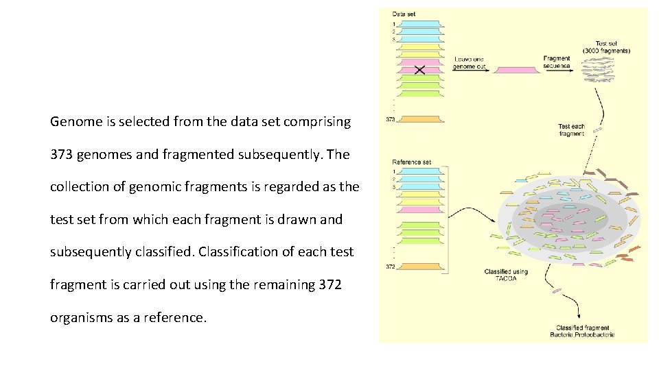 Genome is selected from the data set comprising 373 genomes and fragmented subsequently. The Genome is selected from the data set comprising 373 genomes and fragmented subsequently. The