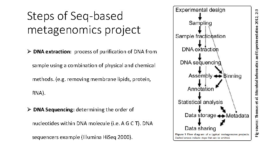 Ø DNA extraction: process of purification of DNA from sample using a combination of Ø DNA extraction: process of purification of DNA from sample using a combination of