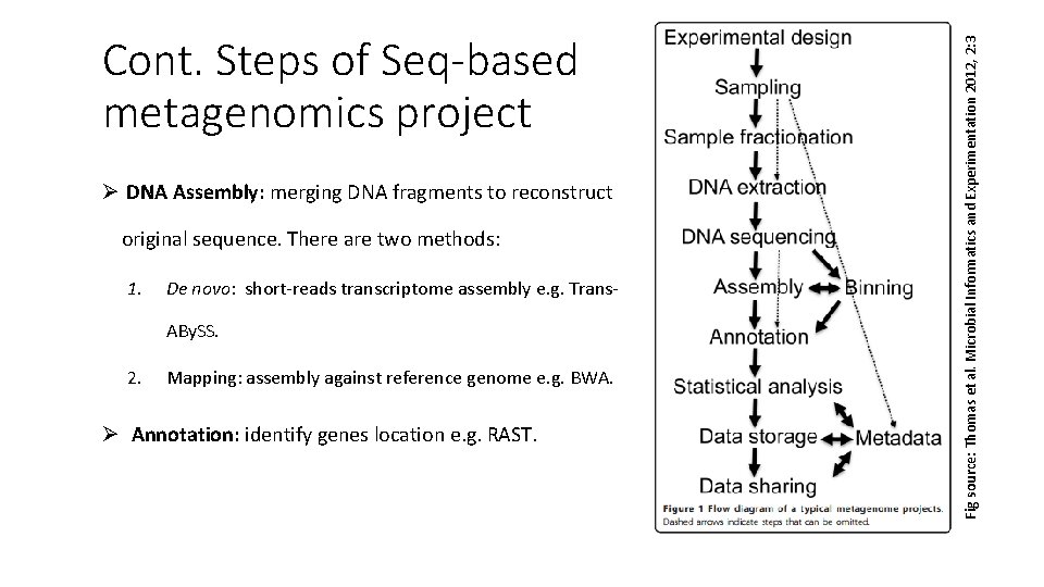 Ø DNA Assembly: merging DNA fragments to reconstruct original sequence. There are two methods: Ø DNA Assembly: merging DNA fragments to reconstruct original sequence. There are two methods: