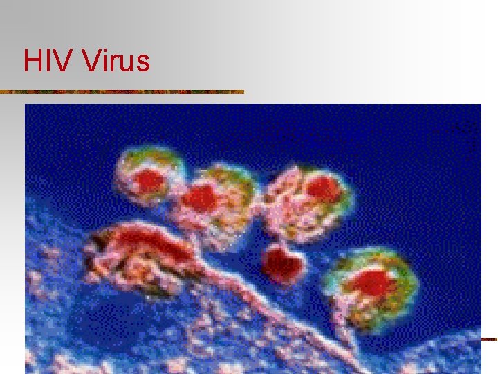 HIV Virus 