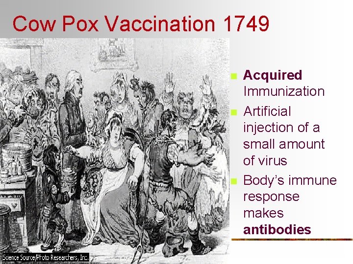 Cow Pox Vaccination 1749 n n n Acquired Immunization Artificial injection of a small