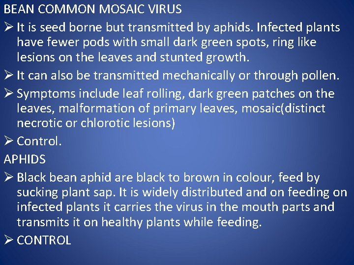 BEAN COMMON MOSAIC VIRUS Ø It is seed borne but transmitted by aphids. Infected