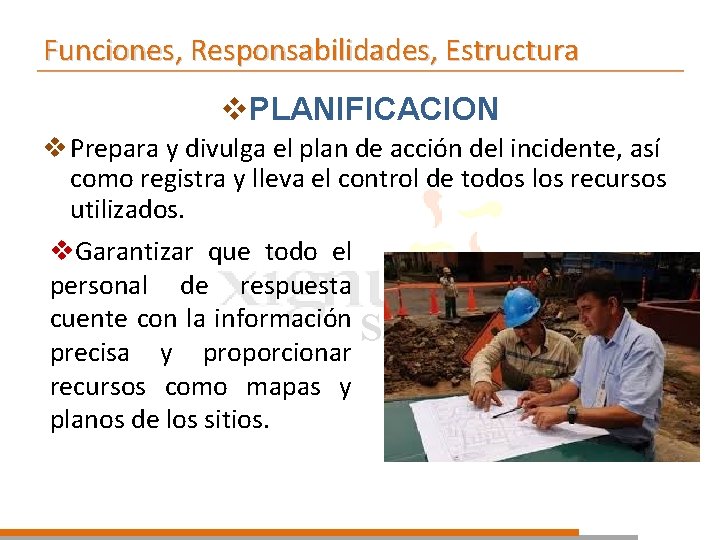 Funciones, Responsabilidades, Estructura v. PLANIFICACION v Prepara y divulga el plan de acción del