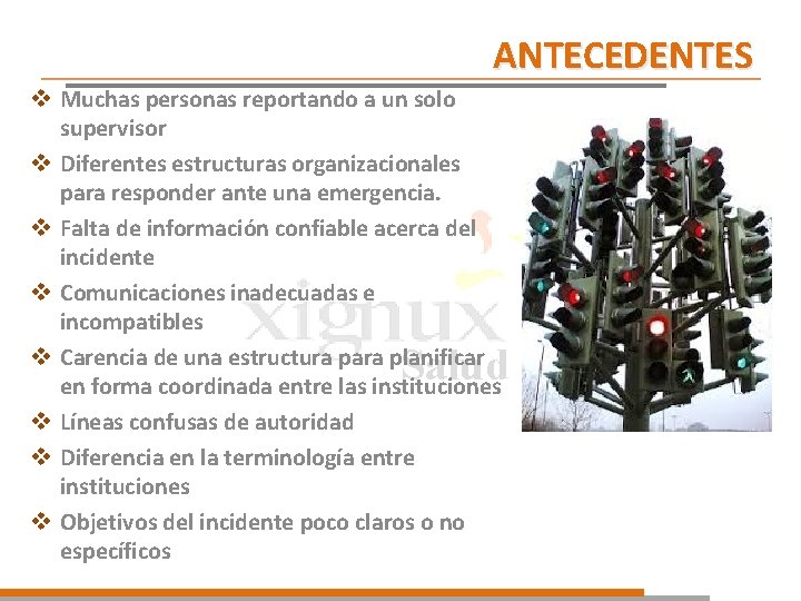 ANTECEDENTES v Muchas personas reportando a un solo supervisor v Diferentes estructuras organizacionales para