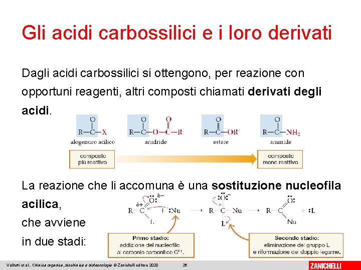 Gli acidi carbossilici e i loro derivati Dagli acidi carbossilici si ottengono, per reazione