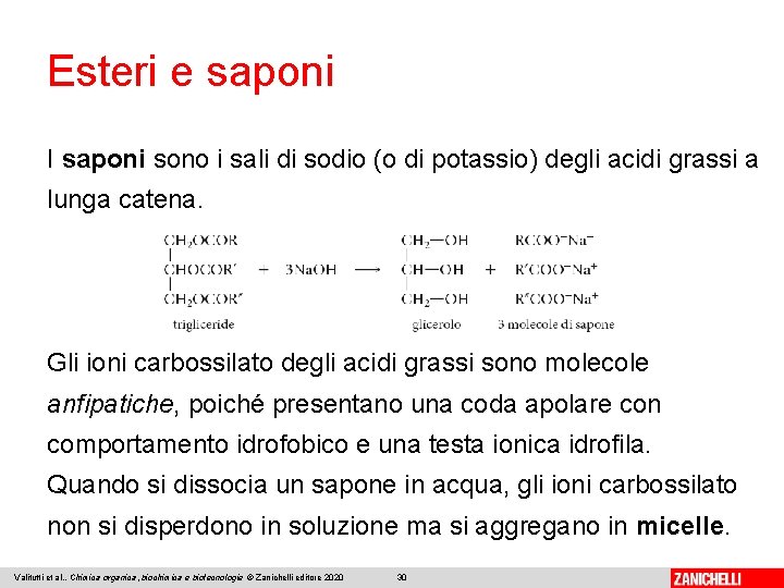 Esteri e saponi I saponi sono i sali di sodio (o di potassio) degli