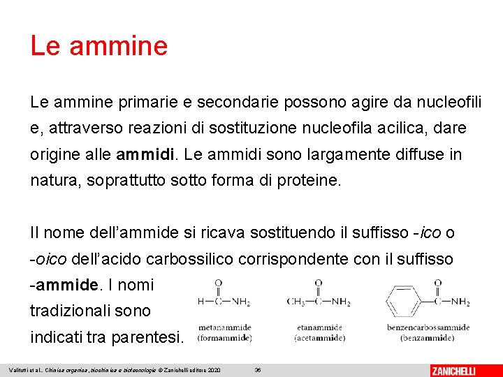 Le ammine primarie e secondarie possono agire da nucleofili e, attraverso reazioni di sostituzione