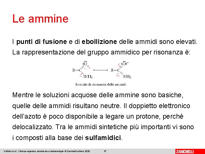 Le ammine I punti di fusione e di ebollizione delle ammidi sono elevati. La