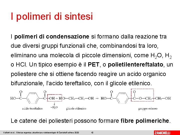 I polimeri di sintesi I polimeri di condensazione si formano dalla reazione tra due