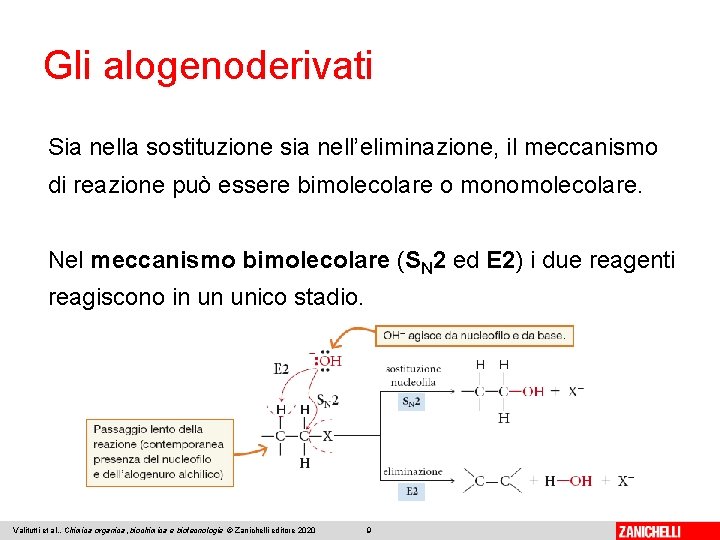 Gli alogenoderivati Sia nella sostituzione sia nell’eliminazione, il meccanismo di reazione può essere bimolecolare