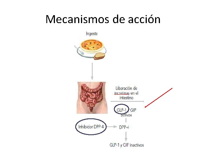 Mecanismos de acción 