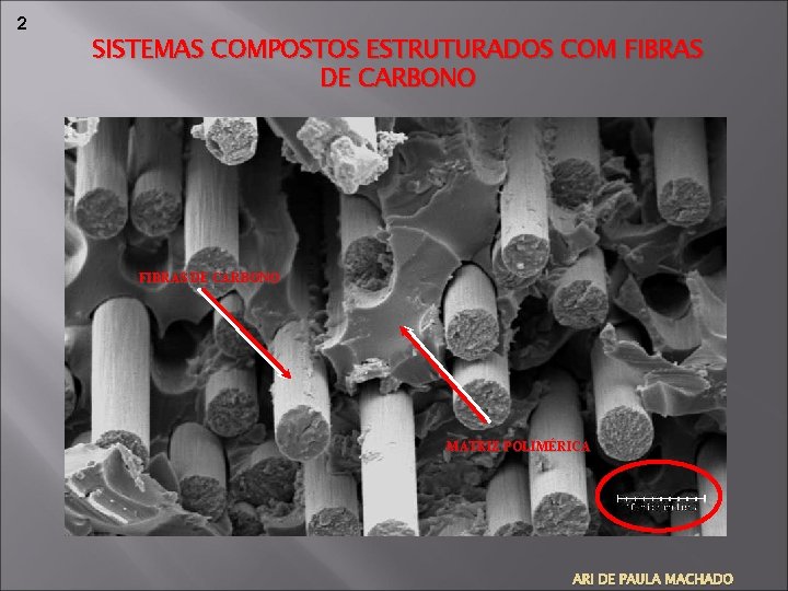 2 SISTEMAS COMPOSTOS ESTRUTURADOS COM FIBRAS DE CARBONO MATRIZ POLIMÉRICA ARI DE PAULA MACHADO