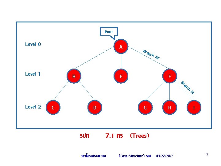 Root Level 0 A Bran ch A Level 1 B E F F nch