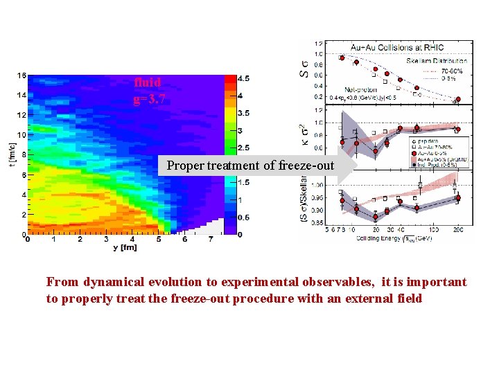 fluid g=3. 7 Proper treatment of freeze-out From dynamical evolution to experimental observables, it