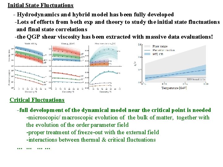 Initial State Fluctuations - Hydrodynamics and hybrid model has been fully developed -Lots of