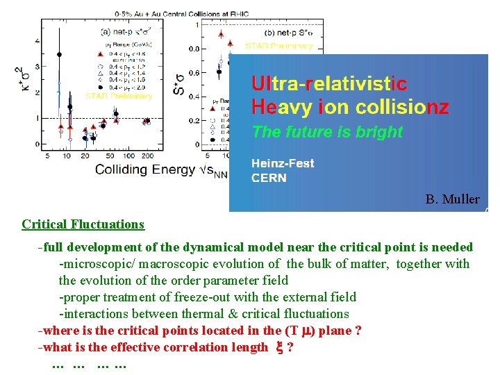 B. Muller Critical Fluctuations -full development of the dynamical model near the critical point