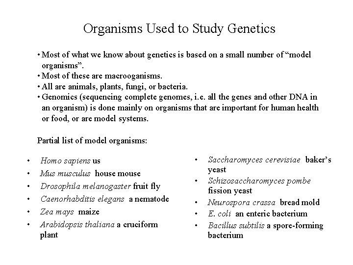 Organisms Used to Study Genetics • Most of what we know about genetics is